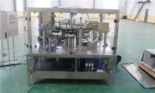 诸城鑫烨机械与湖南市场 给袋式包装机的专业对接与采购指南