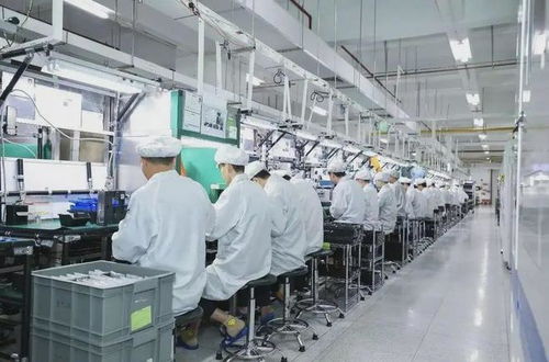 机械厂与电子厂 机械电子设备领域的职业选择指南